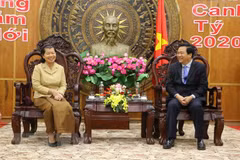 Cambodian Deputy Prime Minister pays Tet visit to Long An