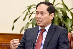 NA’s ratification of EVFTA, EVIPA significant: Deputy FM
