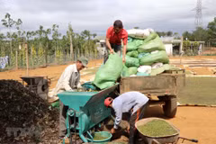 Vietnamese peppercorn containers stuck in Nepal eligible to return home 