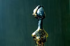 Online sculpture exhibition shown on Facebook