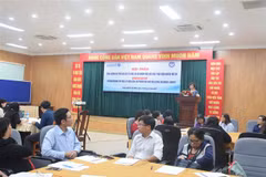 HCM City workshop seeks to promote, realise children’s rights