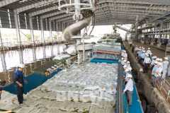 Ca Mau fertiliser plant’s urea output hits 7 million tonnes after ten years