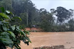 Four killed, two missing as flash floods hit Central Highlands, South Central regions