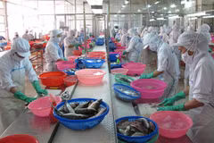 Ministry to help local firms cope with trade remedies