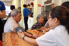 Seminar talks upholding elderly resources in development 