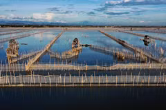 Nature reserve founded in Thua Thien-Hue province