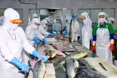 Seafood exports to drop 5 percent in Q2