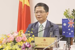 Vietnam vows to remove obstacles facing Australian exporters amid COVID-19
