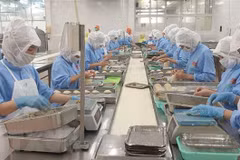 Processing-manufacturing companies optimistic about Q4 business outlook