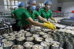 Taxation sector fulfils 60 percent of tax collection estimate