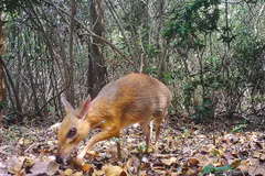Vietnam enhances cooperation to reduce biodiversity loss