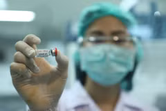 Thailand tests COVID-19 vaccine on crab-eating macaques