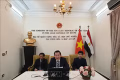 Webinar on President Ho Chi Minh held in Egypt