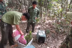 Vietnam hailed for strides in protecting people, biodiversity 