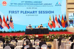 Important issues on table during AIPA 41’s second working day