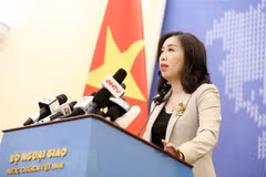  Vietnam committed to lifting ties with New Zealand: Foreign Ministry spokesperson
