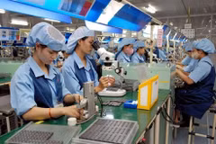 Australian firms in ASEAN consider Vietnam favourable destination