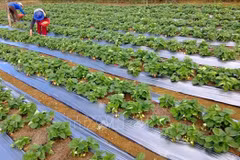 Vietnam responds to 2020 World Tourism Day