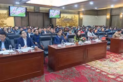 Chinese firms in Hai Phong requested to actively fight nCoV