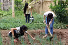 UK supports Vietnam in fight against human trafficking
