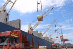 Export, import activities soar at start of Lunar New Year