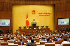 Legislature adopt resolution on urban administration in HCM City