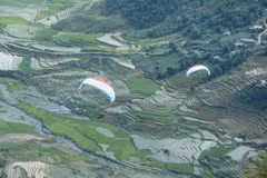 Yen Bai: Van Chan district strives to develop “non-smoke” industry
