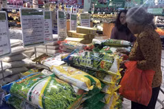 Localities prepare goods for Lunar New Year holiday