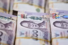 Thai currency hits seven-month low over coronavirus outbreak