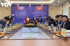 Vietnam, Cuba seek ways to raise trade to 500 million USD