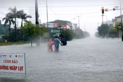 EU, AFD support climate resilience, recovery in north central Vietnam