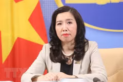 Vietnam welcomes East Sea stance in line with law: Foreign Ministry spokesperson
