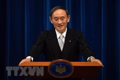 Vietnam-Japan extensive strategic partnership thriving 