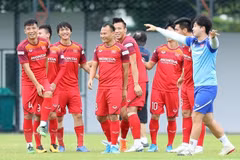 Vietnam maintain top spot in Southeast Asia’s football: FIFA