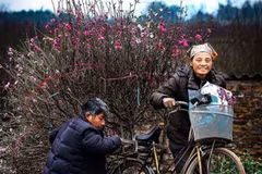 Competition seeks best photos of Hanoi