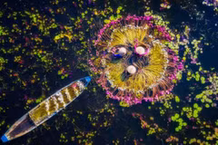 Vietnamese photographers up for prestigious award