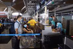 More Vietnamese citizens brought home from Malaysia