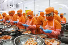 Administrative reforms crucial to capitalisation of EVFTA: dialogue