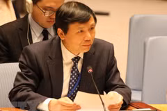 Vietnam calls for protection of civilians in COVID-hit countries with conflicts