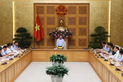 Virtual external activities should be promoted amid COVID-19: Deputy PM