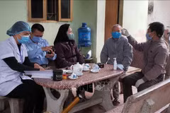 Vietnamese community in Eastern Europe joins hands in COVID-19 fight