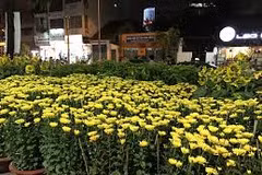 Flower markets in Ho Chi Minh City 