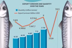 Fishery sector aims for over 10 billion USD in export value
