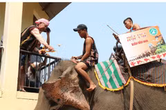 M’nong elephant worship in DaK Lak