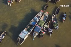 HCM City, Mekong Delta boost tourism cooperation