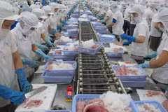 Aquatic firms struggle with human resources