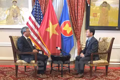 Increasing visits show growing Vietnam-US ties: ambassador