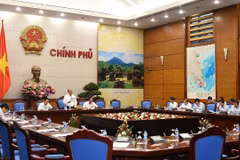 Mekong Delta seeks sustainable development in response to climate change 