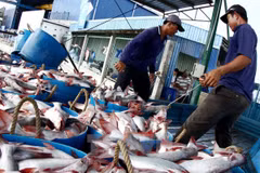 Vietnam, Australia cooperate in combating illegal fishing