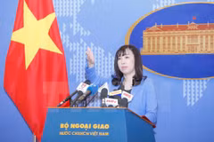 Vietnam wants to develop friendship with RoK: FM’s spokesperson 